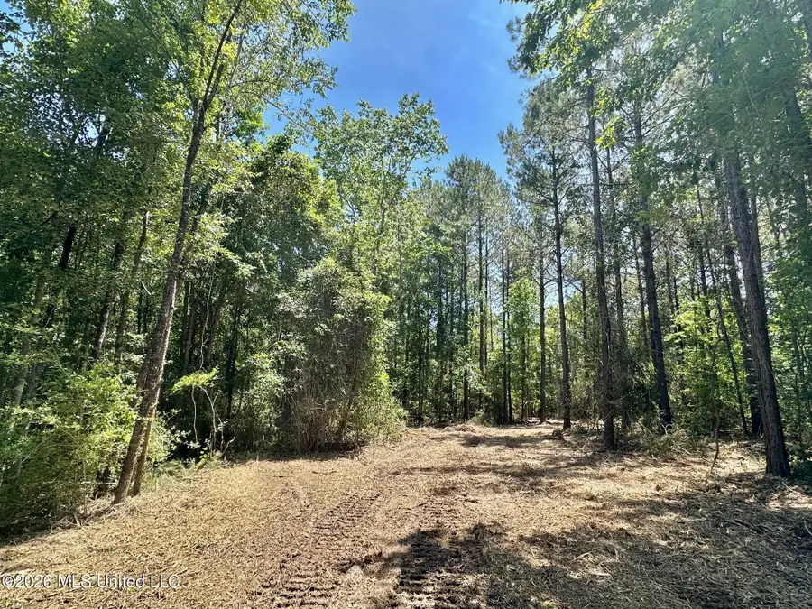 0 Mcnair Springs Road, Magee, MS 39111 - #3