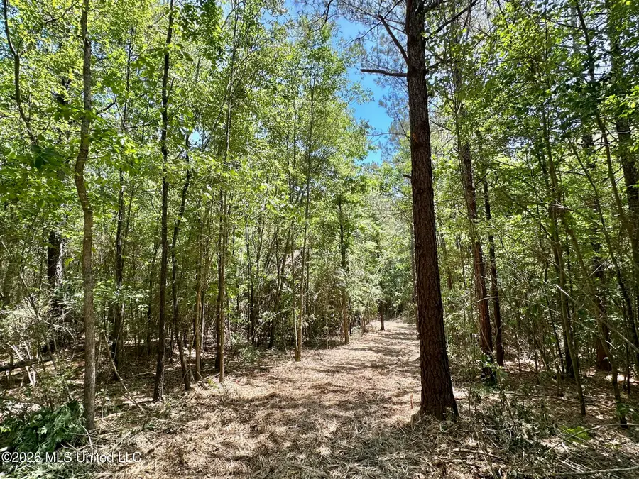 1 Mcnair Springs Road, Magee, MS 39111 - #3