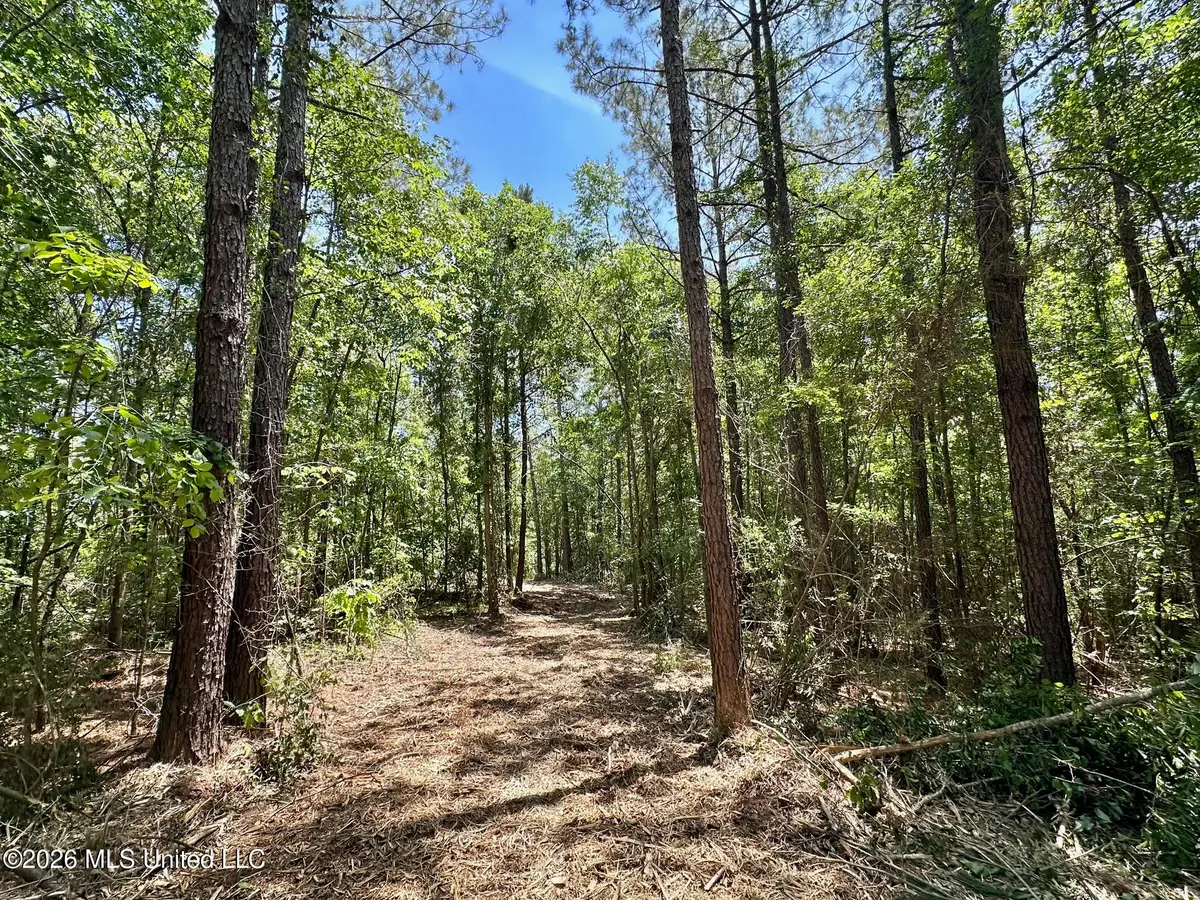 2 Mcnair Springs Road, Magee, MS 39111 - #1