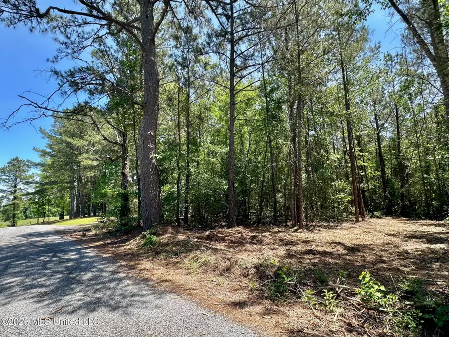2 Mcnair Springs Road, Magee, MS 39111 - #3