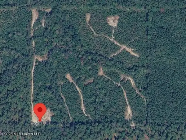 40 Acres Forestry Road 356, Beaumont, MS 39423