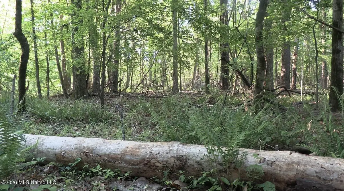 Bell Bottom Road, Redwood, MS 39156 - #1