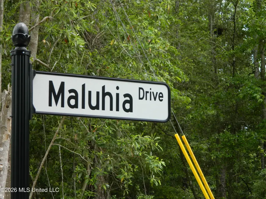 6430 Maluhia Drive, Diamondhead, MS 39525 - #2