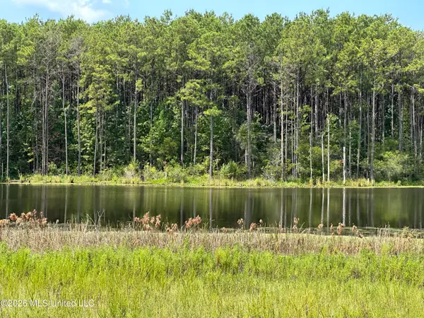 186 W New Arbor Road, Poplarville, MS 39470