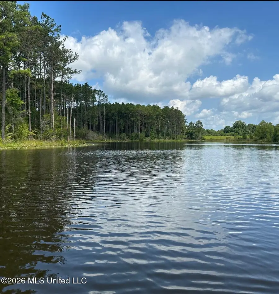 186 W New Arbor Road, Poplarville, MS 39470 - #3