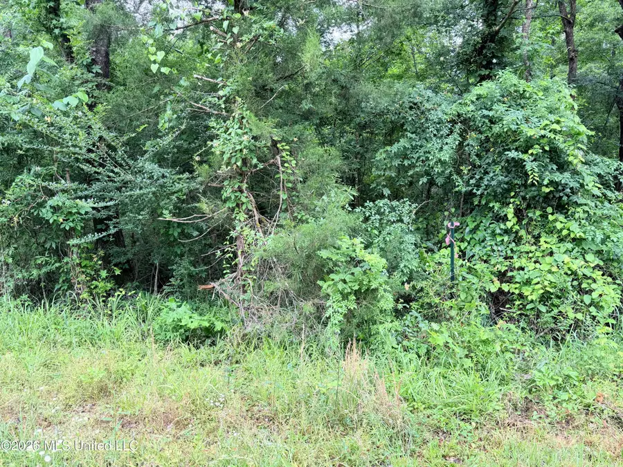00 Parsons Road, Raymond, MS 39154 - #2