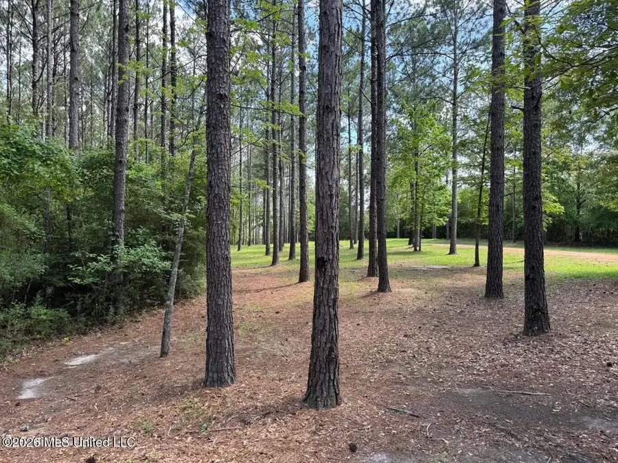 2455 Ms-26, Lumberton, MS 39455 - #3