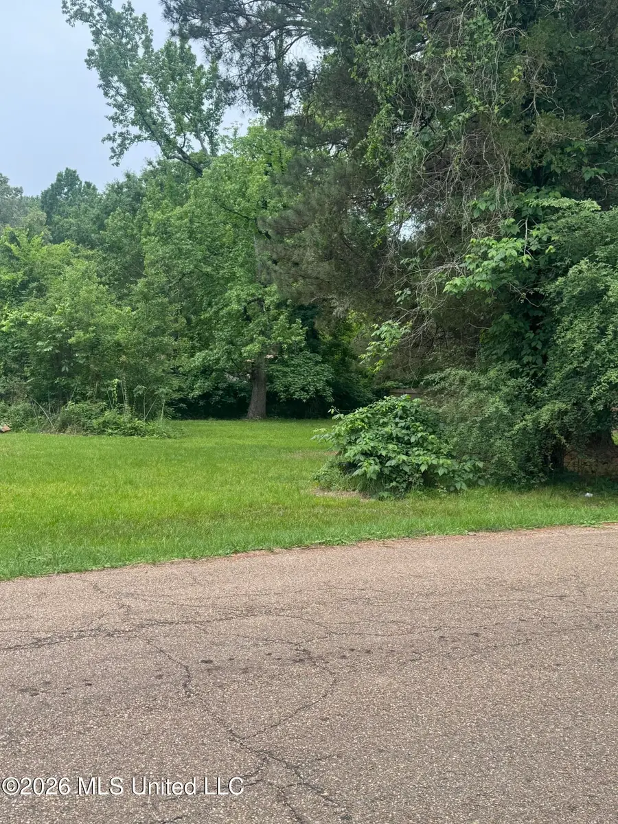 Gault Street, Jackson, MS 39209 - #3