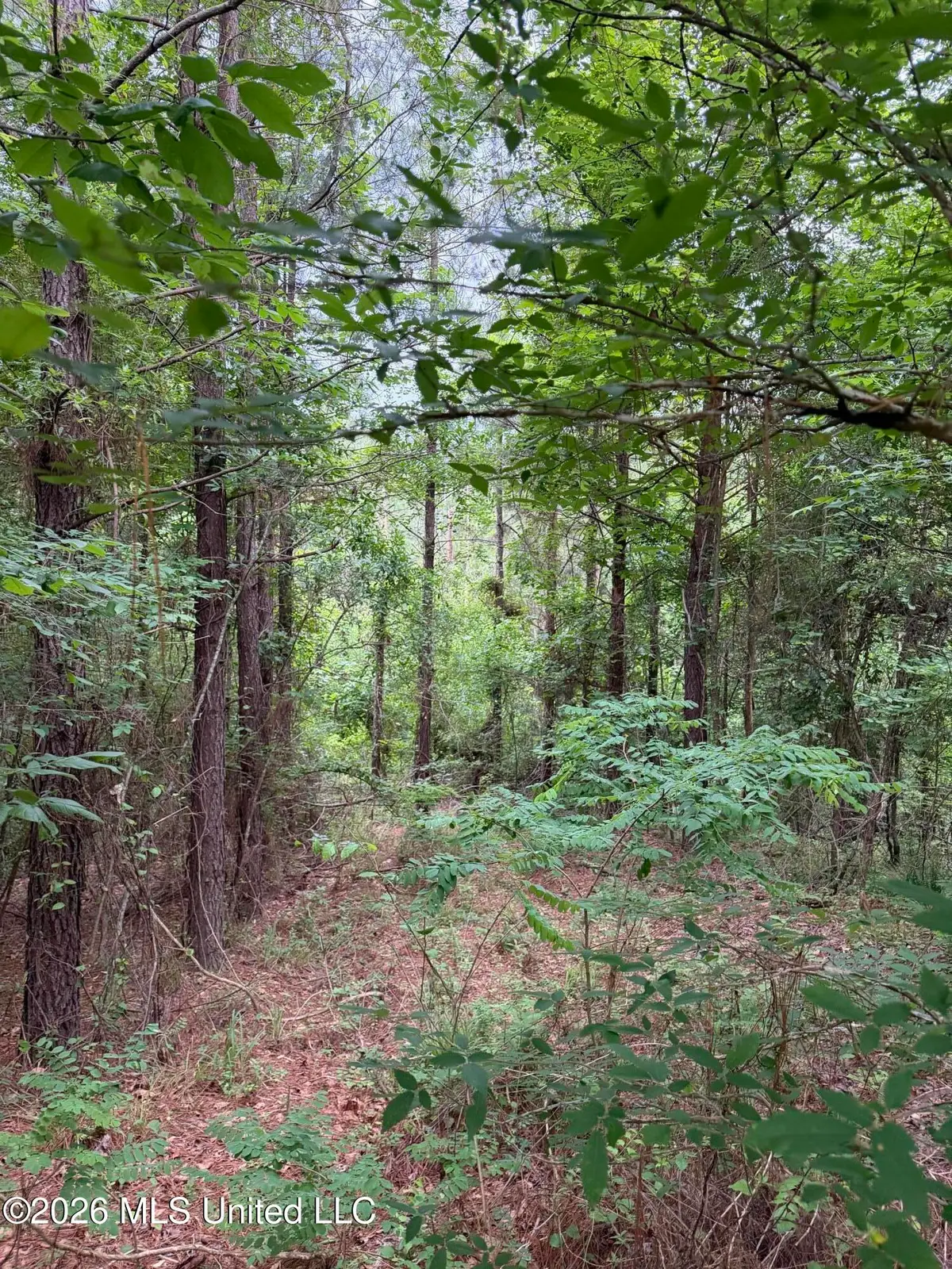 Tbd Hall Road, Natchez, MS 39120 - #1