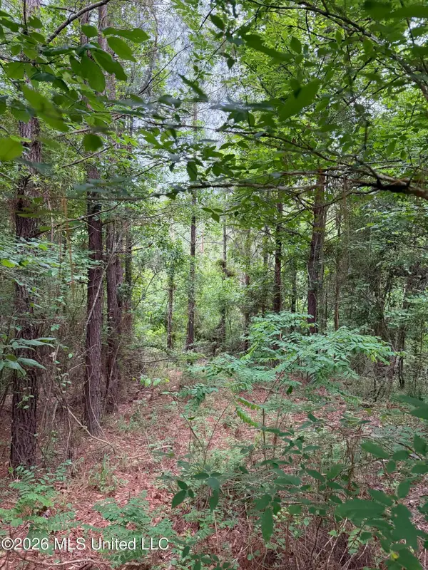 Tbd Hall Road, Natchez, MS 39120