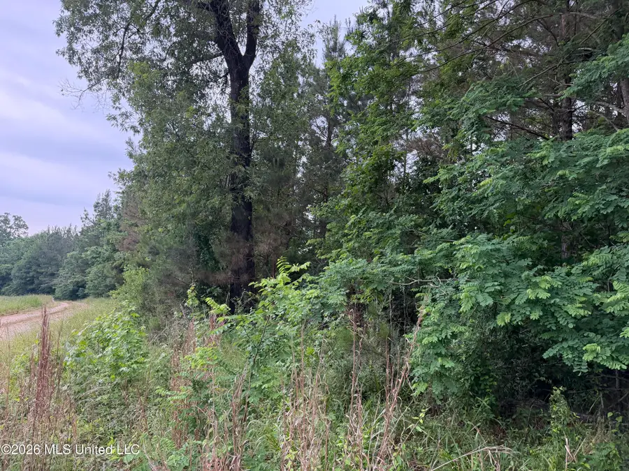 Tbd Hall Road, Natchez, MS 39120 - #3
