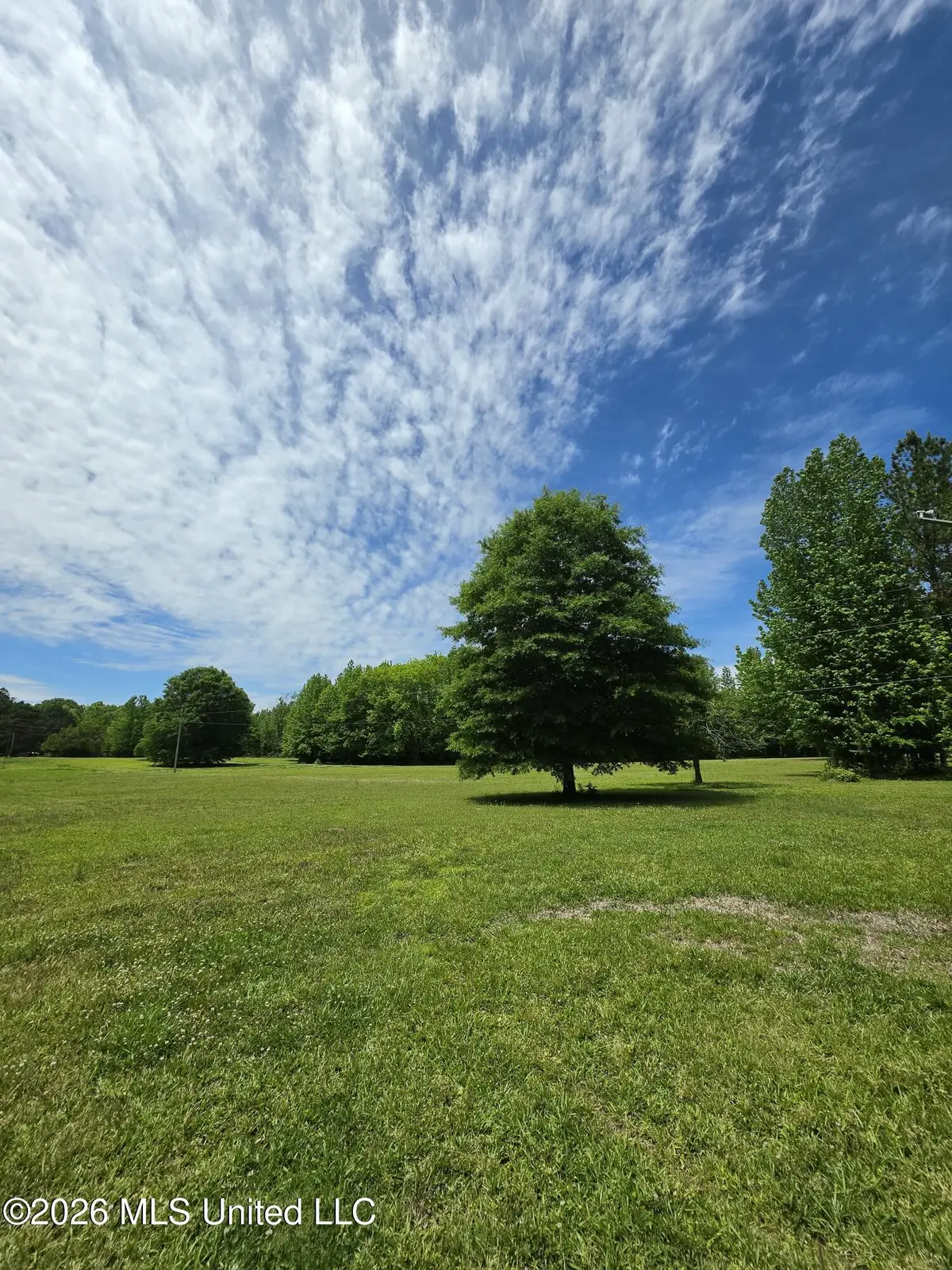 556 Jamie Drive, Byhalia, MS 38611 - #1