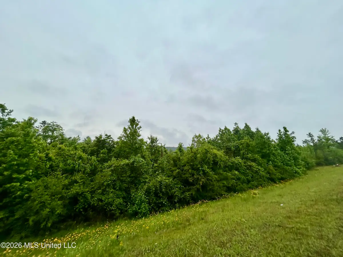 Ferguson Mill Road, Silver Creek, MS 39663 - #1