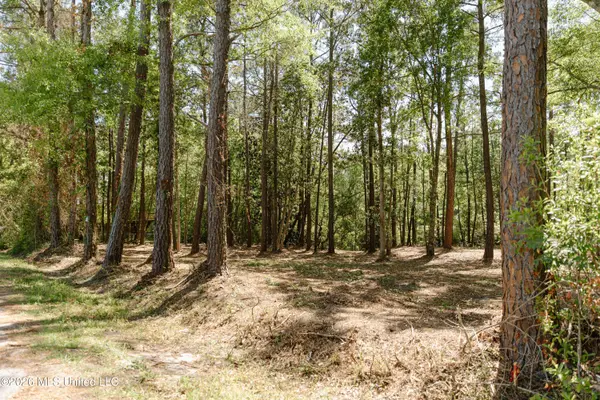 Honduras Drive, Gautier, MS 39553