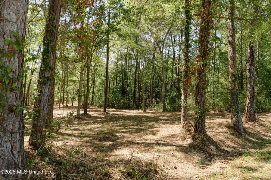 Honduras Drive, Gautier, MS 39553 - #2