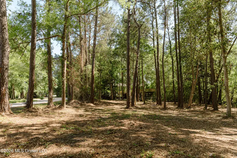 Honduras Drive, Gautier, MS 39553 - #3