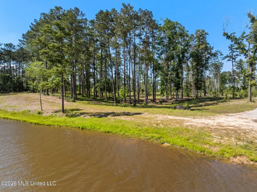 16 Placid Drive, Sumrall, MS 39482 - #3