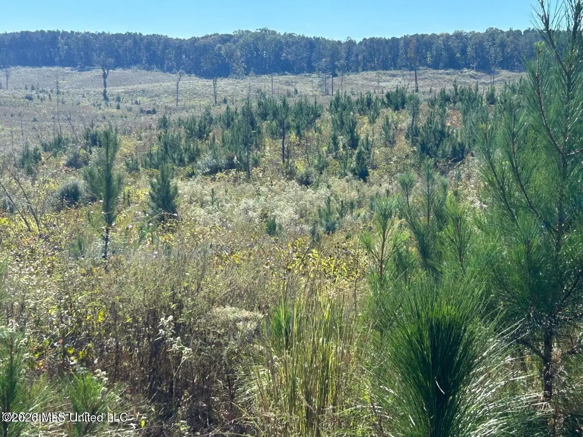 80ac Skyline Road, Meridian, MS 39301 - #1