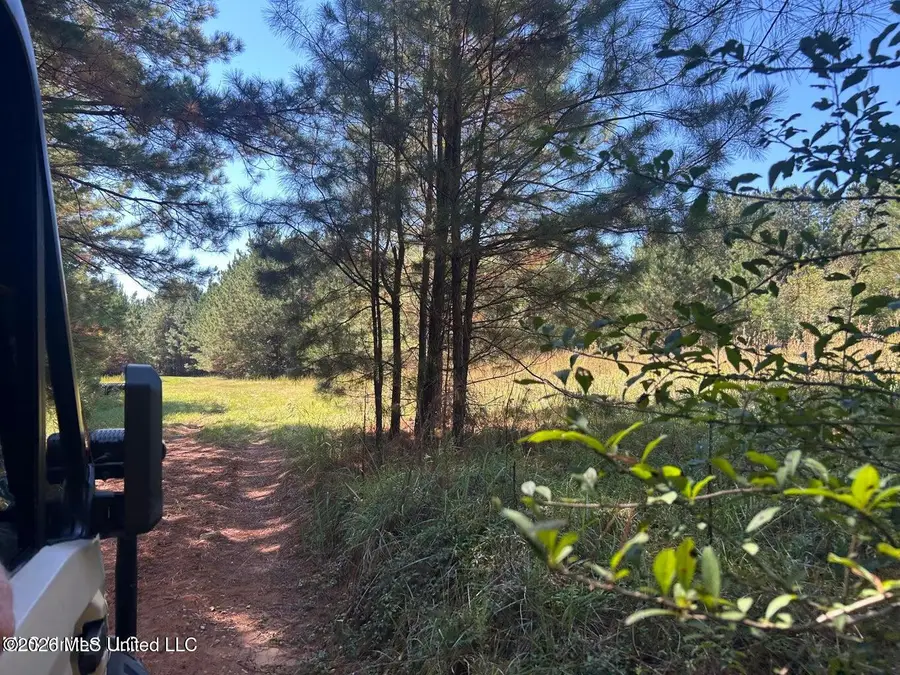 221ac Skyline Road, Meridian, MS 39301 - #2