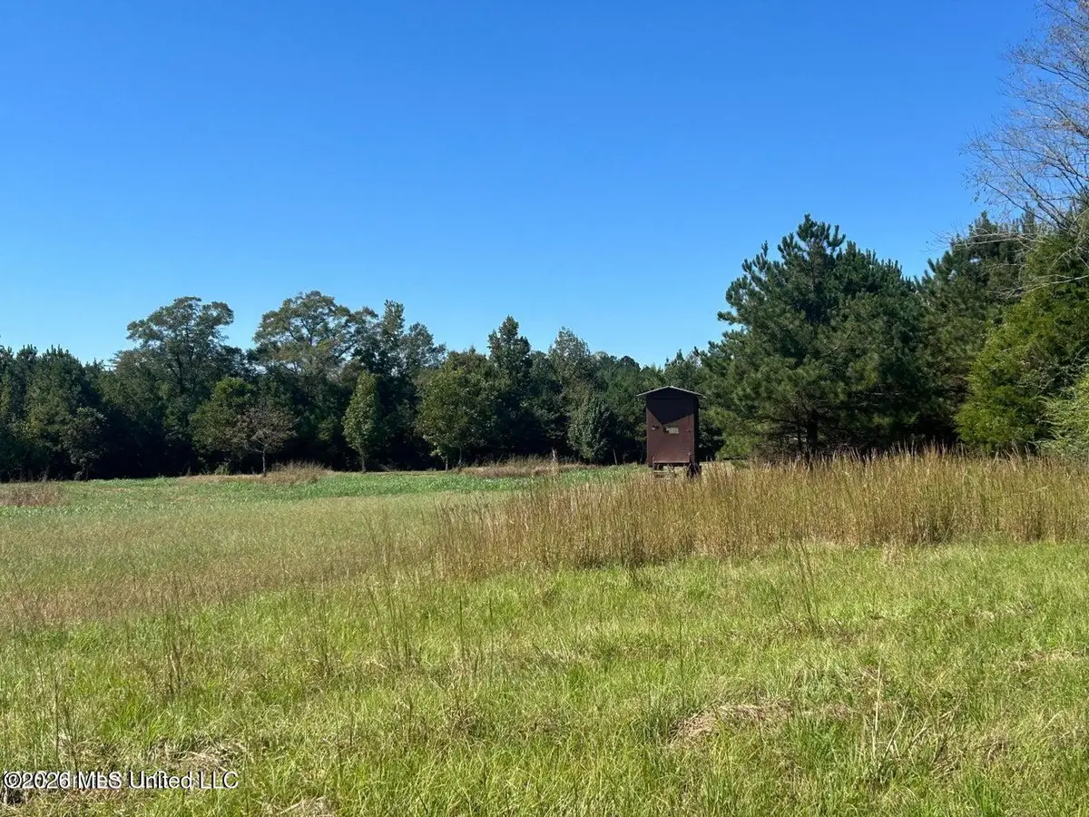 72ac Skyline Road, Meridian, MS 39301 - #1