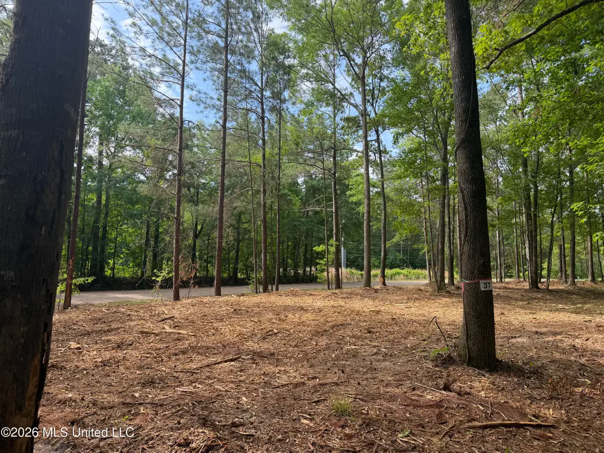 Evergreen Drive, Brandon, MS 39042 - #1