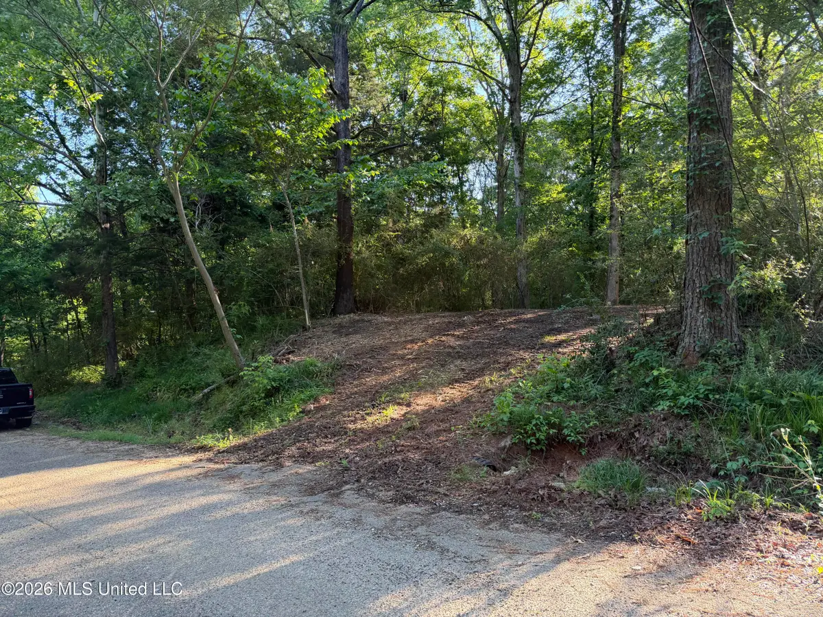 226 Ferrell Road, Ashland, MS 38603 - #1