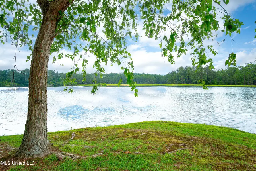 51 Spencer Cove, Hattiesburg, MS 39402 - #3