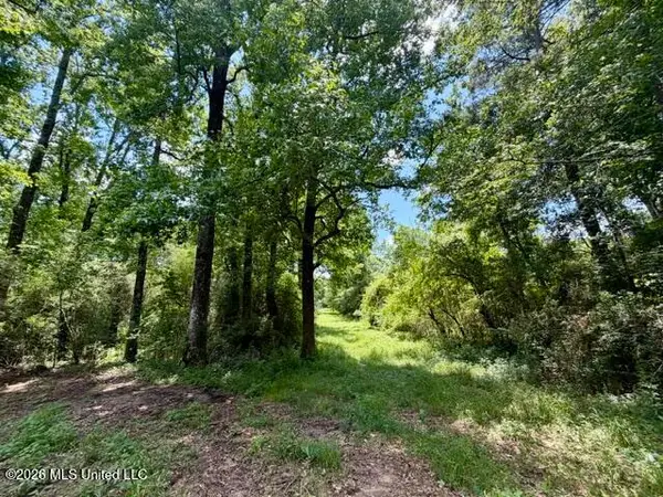 Oak Grove Road, Tylertown, MS 39667