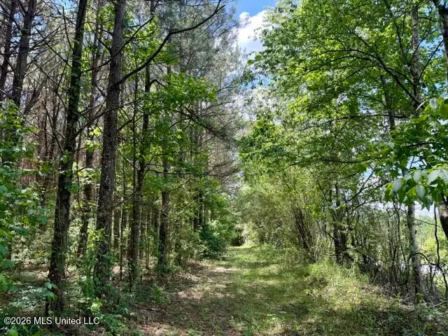 Oak Grove Road, Tylertown, MS 39667 - #2