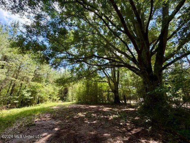Vaniel Holmes Road, Tylertown, MS 39667 - #1