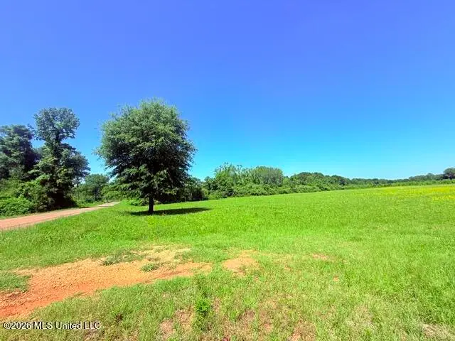 Union Church Road, Magnolia, MS 39652 - #3