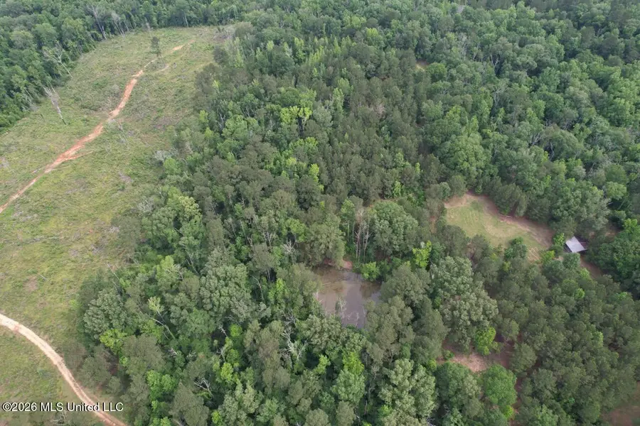 4155 Sterling Lane, Liberty, MS 39645 - #3