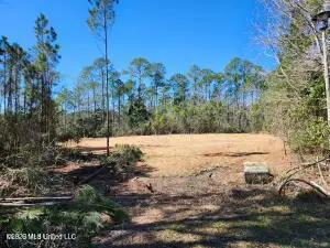 0 Cherrywood Place, Gautier, MS 39553