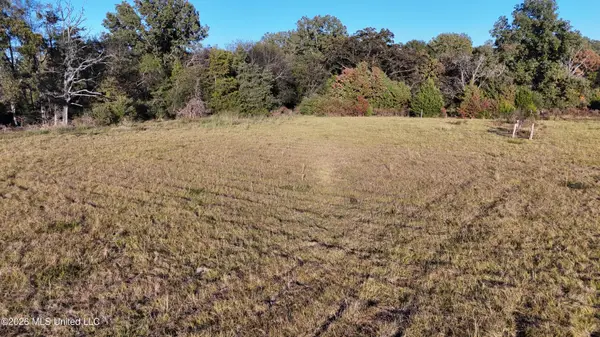 132 Renfroe Road, Canton, MS 39046