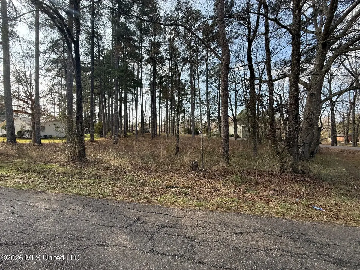 Ackerman Street, Louisville, MS 39339 - #1