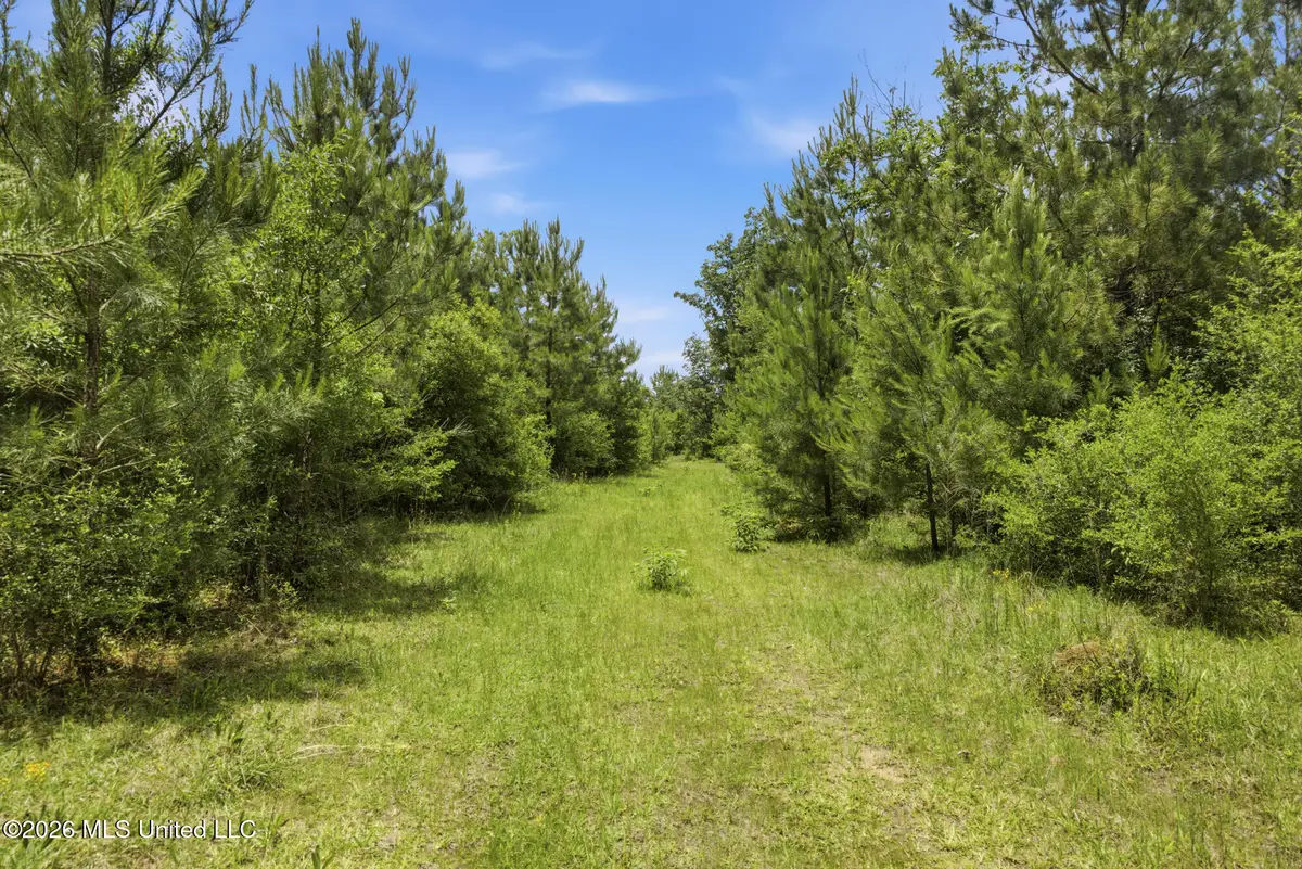 2705 Pilgrims Rest Road, Magnolia, MS 39652 - #1