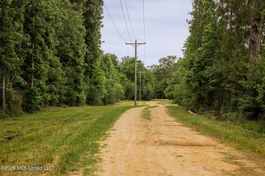 Lewis Lane, Gloster, MS 39638 - #2