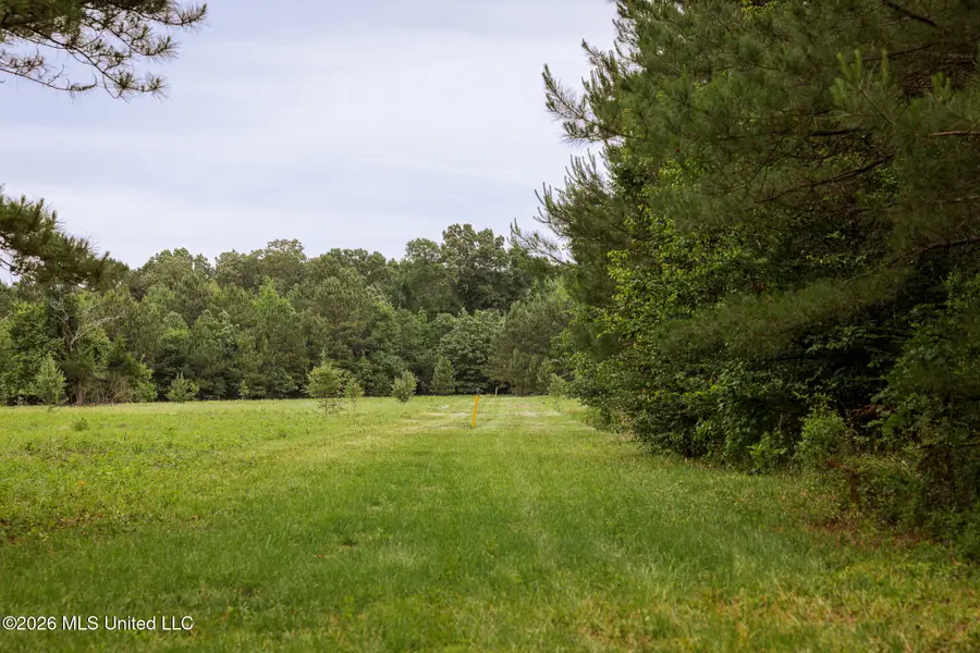 Lewis Lane, Gloster, MS 39638 - #3