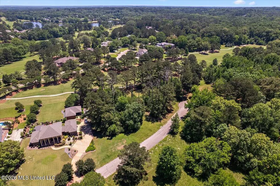111 Bristol Court, Madison, MS 39110 - #2