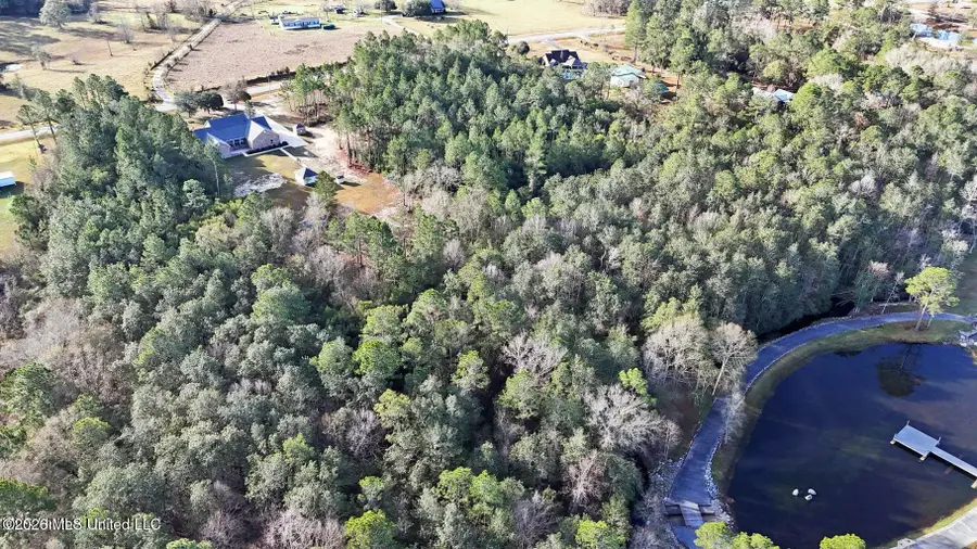13125 Seaman Road, Vancleave, MS 39565 - #3