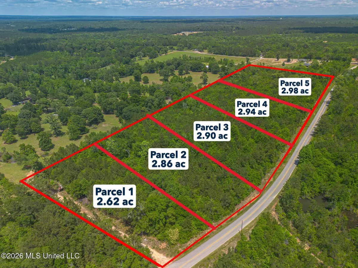 Parcel 3 M P Parker Road, McHenry, MS 39561 - #1