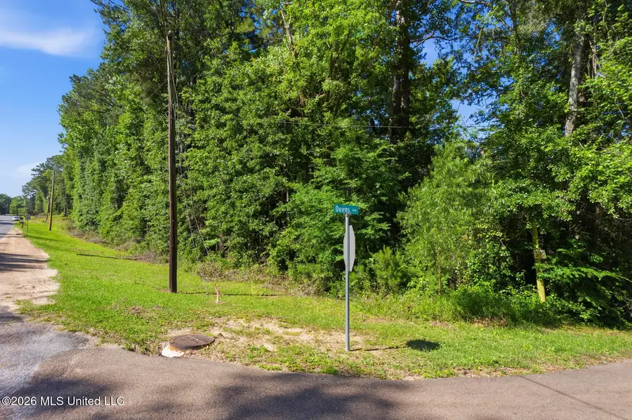 Athens Road, Mendenhall, MS 39114 - #2