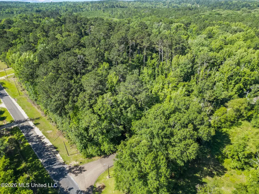 Athens Road, Mendenhall, MS 39114 - #3