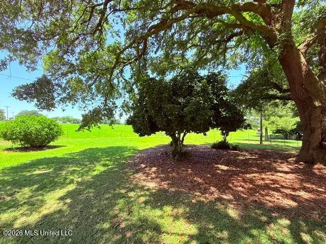 882 Ms-48, Tylertown, MS 39667 - #3