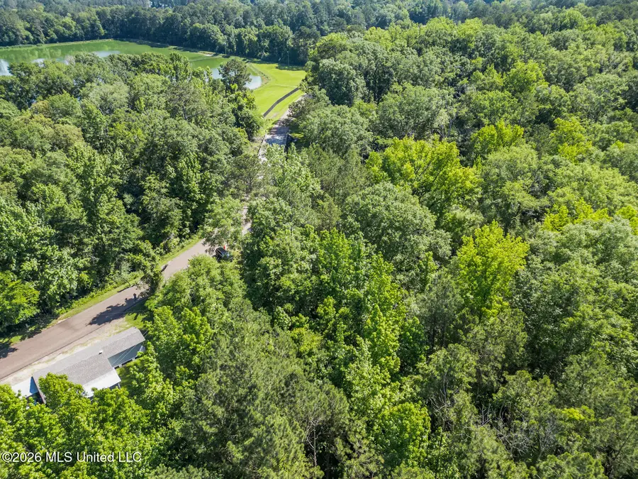 Dixie Avenue, Mendenhall, MS 39114 - #2