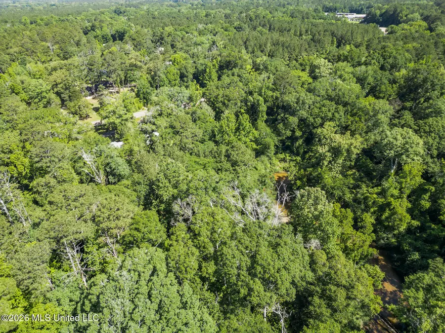 Dixie Avenue, Mendenhall, MS 39114 - #3