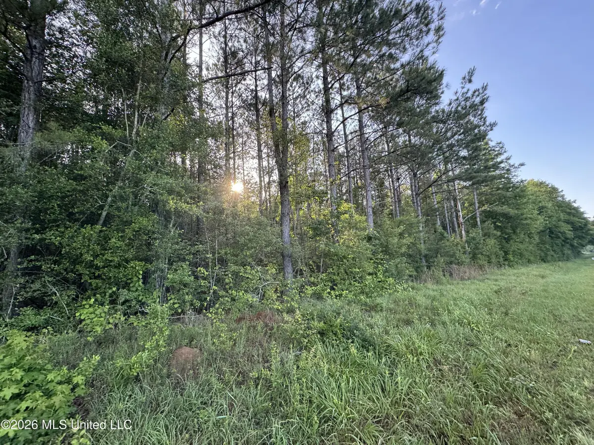 N Lot 3 River Road, Summit, MS 39666 - #1