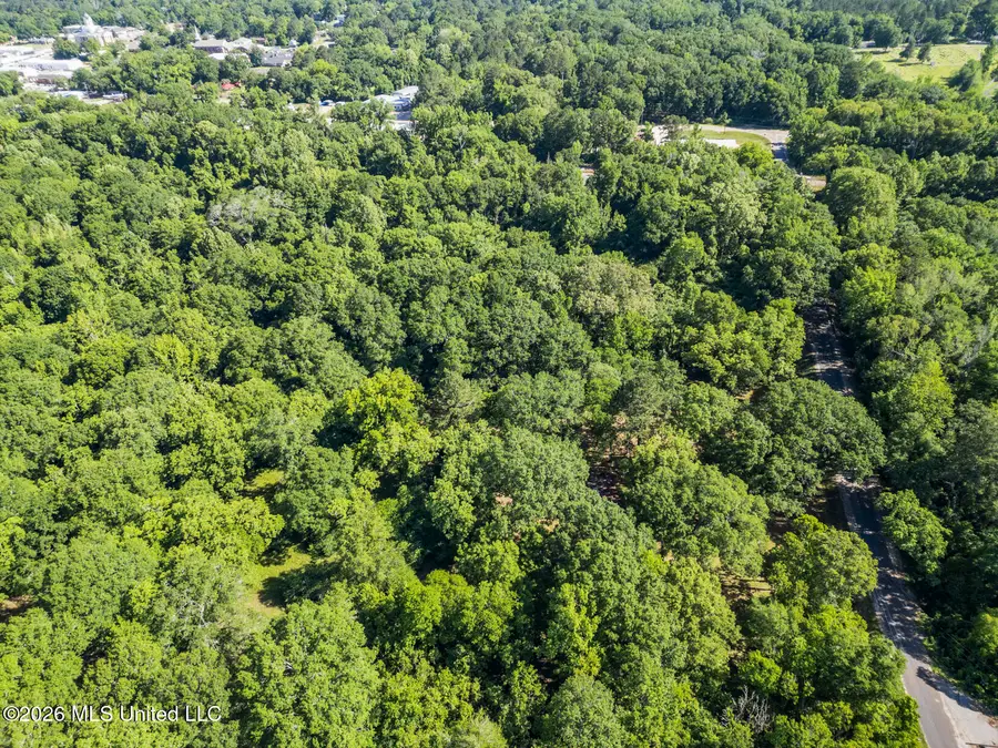0 Athens Road, Mendenhall, MS 39114 - #2