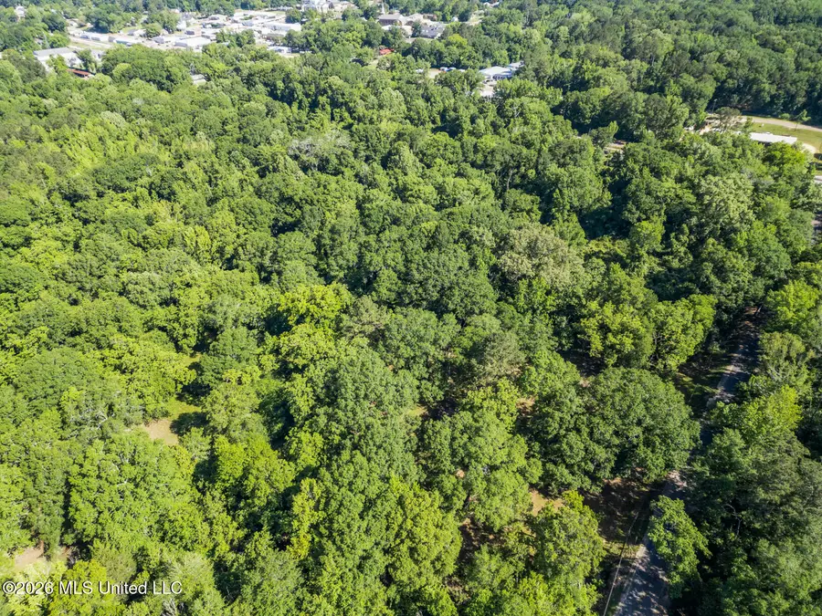 0 Athens Road, Mendenhall, MS 39114 - #3
