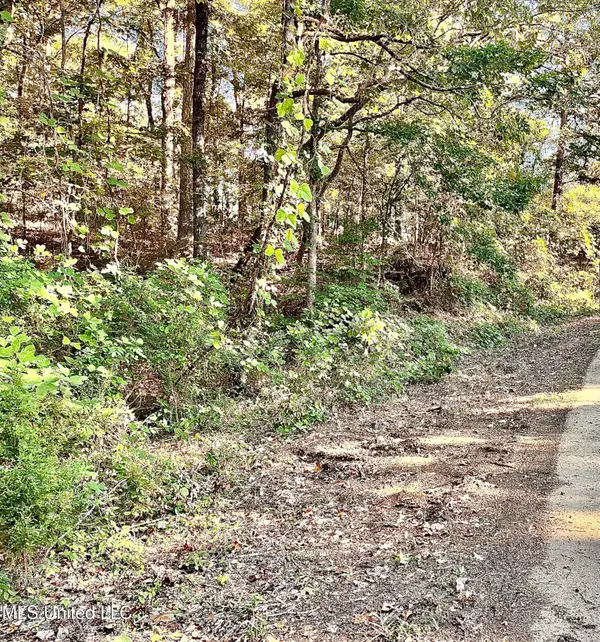 0 Snow Lake Drive, Ashland, MS 38603